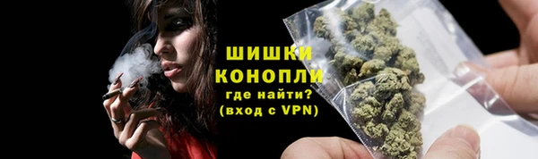 шишки Алзамай