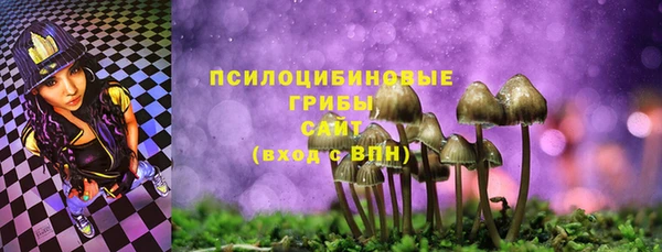 шишки Алзамай