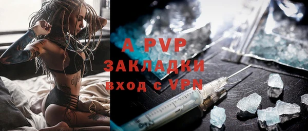 шишки Алзамай