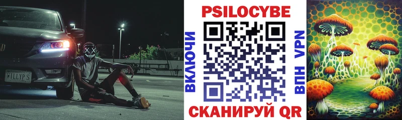 Галлюциногенные грибы Psilocybe  дарнет шоп  Орлов 